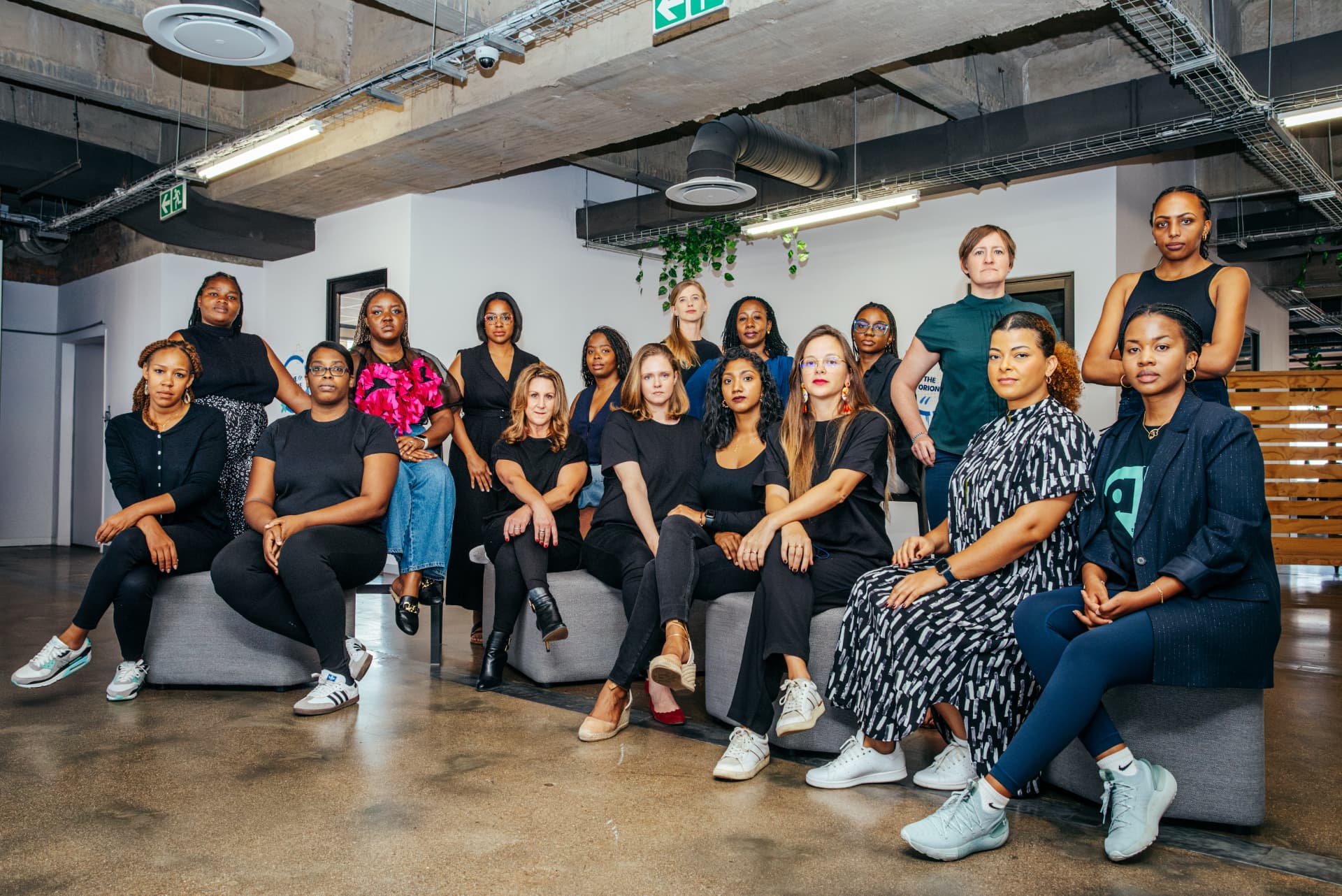 Group portrait of a company team in a studio office